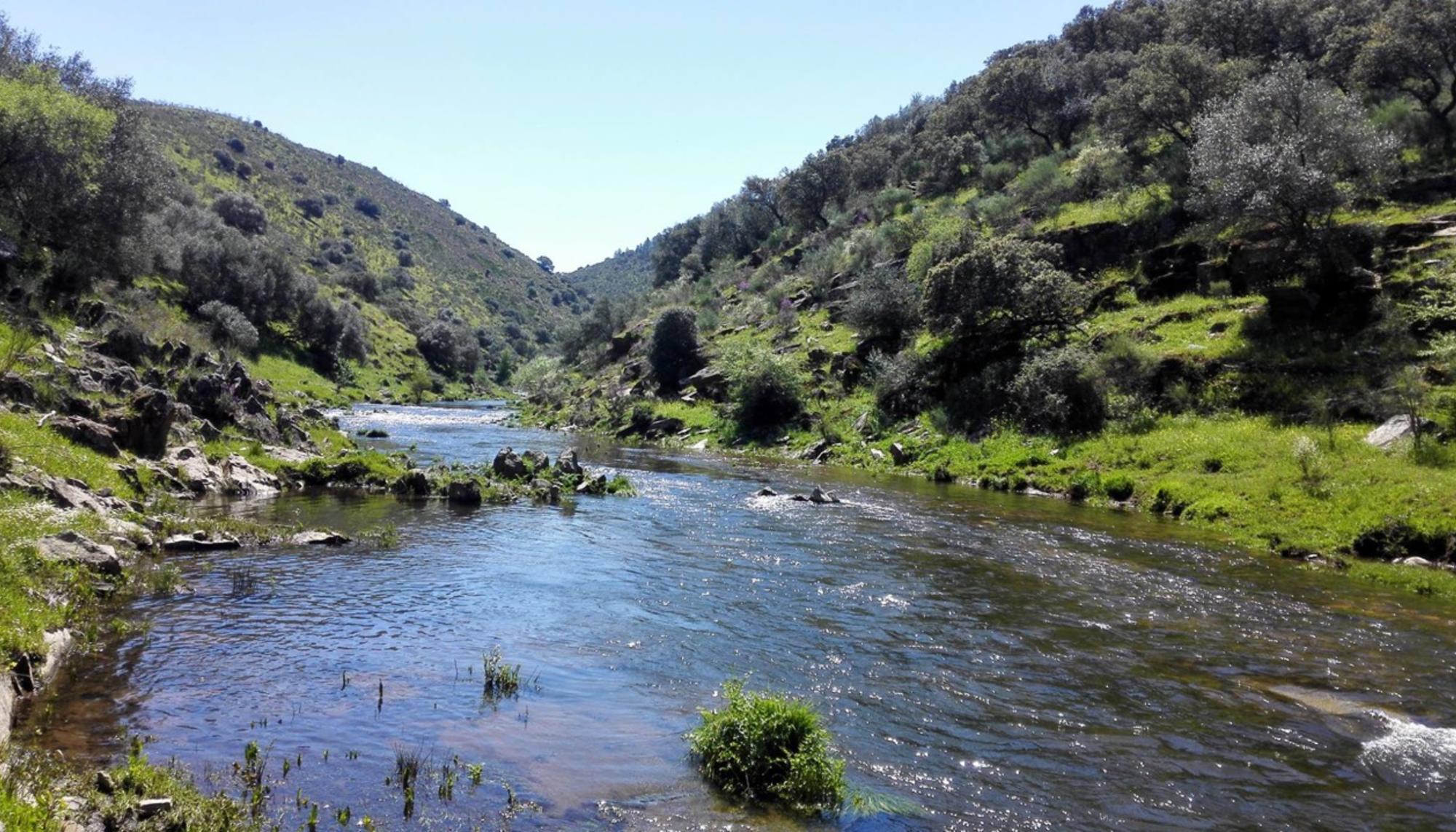 El río Ibor